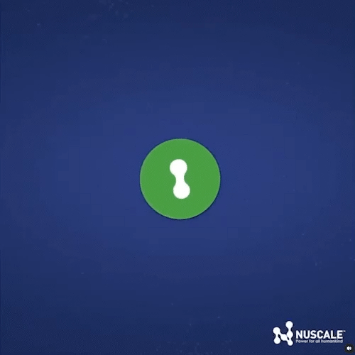 Cost Competitive Logo Animation