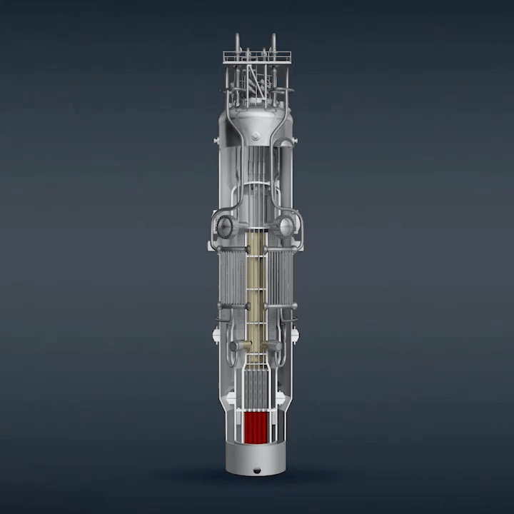 NuScale Power Module Spin
